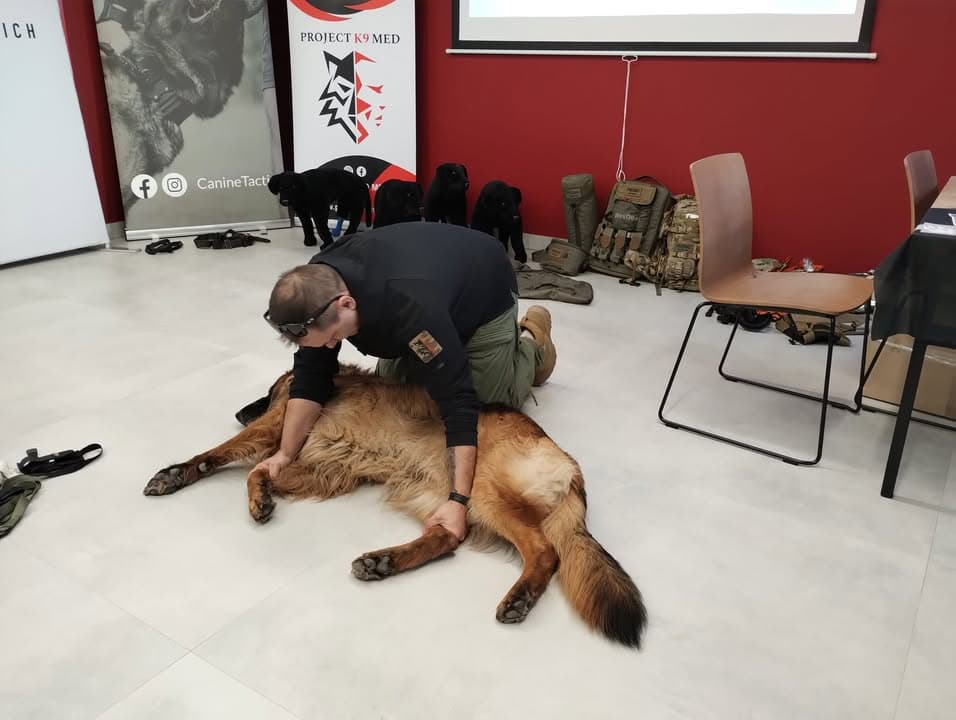 Szkolenie. Bo nie tylko ludzi się ratuje. ☝️
K9 First Aid. Więcej szczegółów później. 😉
Stay tuned